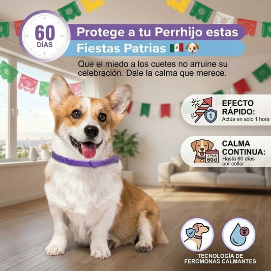 CalmiPet™ Collar Calmante para Perros